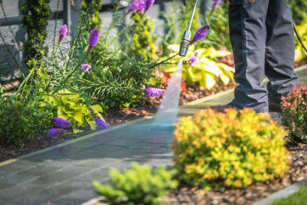Best Boat and Dock Cleaning  in Woodbury Heights, NJ