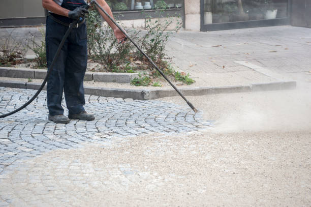 Best Roof Washing  in Woodbury Heights, NJ